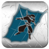 app-047-ninja_sky-icon.png